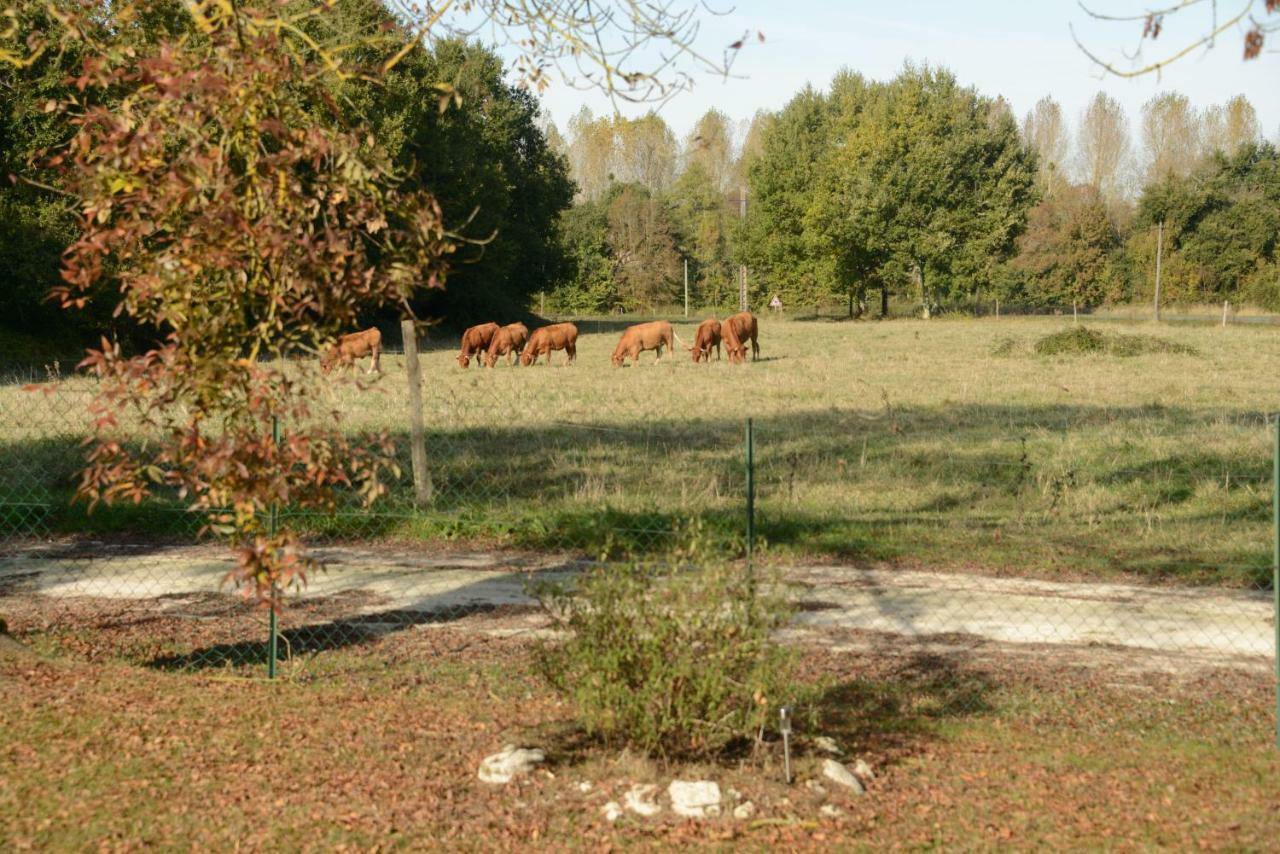 Gite Rouge Calme Et Nature Allas-Bocage Εξωτερικό φωτογραφία